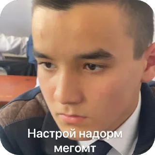 Video sticker 🫥 бангие2211