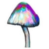 Sticker 🍄 Magic Mushroom @ComoFun