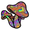 Sticker 🍄 Magic Mushroom @ComoFun