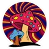 Sticker 🍄 Magic Mushroom @ComoFun