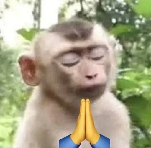 Telegram sticker 🙏 @Itslff