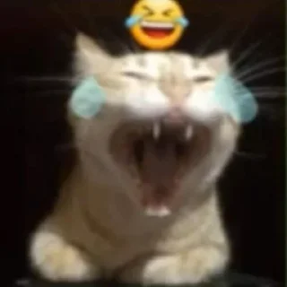 Telegram sticker 🌟 кисунчики :: @fStikBot