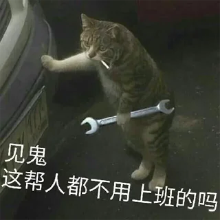 Telegram sticker 🤣 菲律宾招嫖 @openporn
