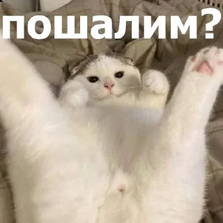 Telegram sticker 😏 @mksmv_p подкаты