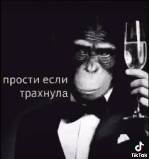 Video sticker 🌟 гавнина :: @fStikBot