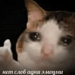 Telegram sticker 🌟 гавнина :: @fStikBot