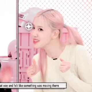 Telegram sticker 🍣 rose blackpink @nightshit