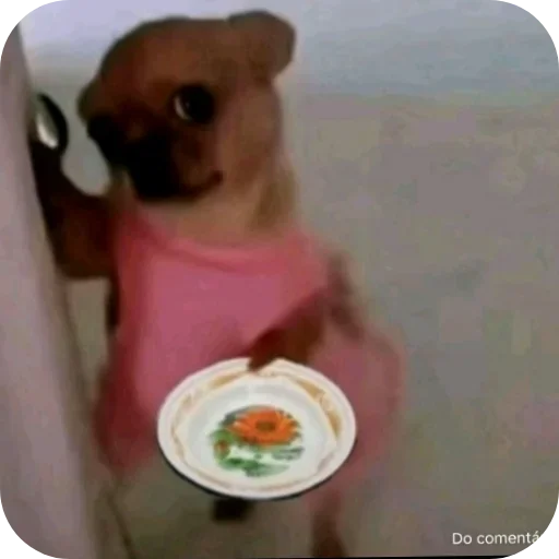 Telegram sticker 👍 @bruxoAlenda :: @fStikBot