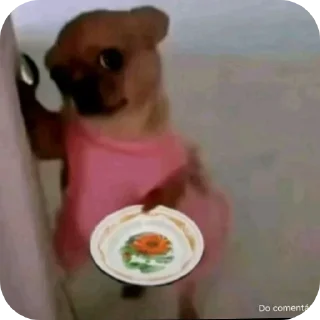 Video sticker 👍 @bruxoAlenda :: @fStikBot