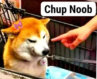 Telegram sticker ⭐️ Chutiya log • @sticbot