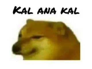 Video sticker ⭐️ Chutiya log • @sticbot