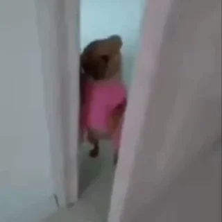 Video sticker 👑 собачки зена :: @fStikBot