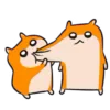 Video sticker ❤️ Hamsters - @Shouto...