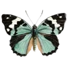 Sticker 🦋 cherish. @hertzeard :: @fStikBot