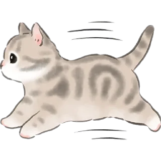 Video sticker 🏃‍♂ Кошачий пак @Nyasticks