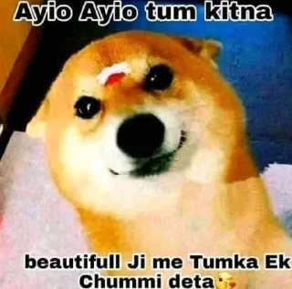 Video sticker 😙 °‌⁪𓆩𝐊𝐔𝐍𝐀𝐋𓆪乛𝐊𝐢𝐧𝐆-𝐱𝐃 ° ⁪♕︎乛🕊️⃝🦋 |🇮🇳|'s stic-pack (@MissLyraRobot)