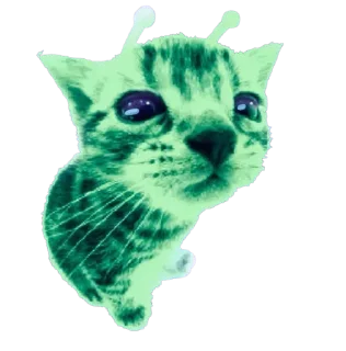 Sticker 🧤 ‌⏝‌ִ ፝֟ ‌⏝‌ִ ፝֟ ‌  𝕊𝒪𝟑 @TgEmodziBot