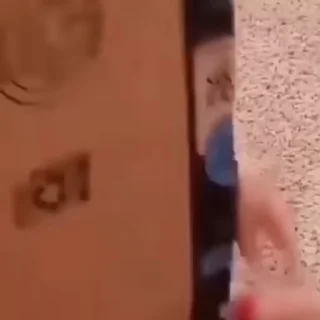 Video sticker 🙃 Naughty child 😁 @PACIKA56