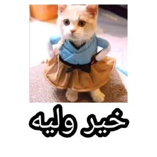 Video sticker 🤔 SEJ