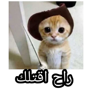 Video sticker 🗡️ SEJ