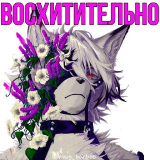 Video sticker 💄 @mozg_banboo · Vol.2