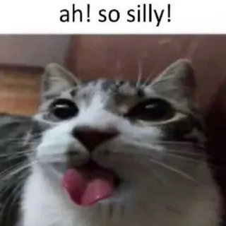 Telegram stiker 🙈 mio mao