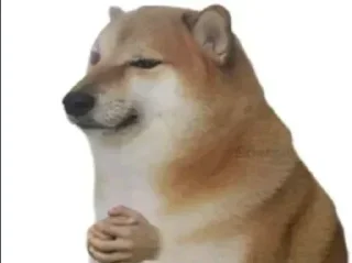 Telegram sticker 🙏 Pedro Pascal shall touch me