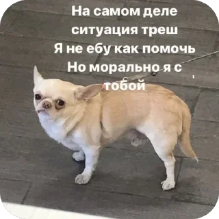 Sticker 🫂 @theaaronme