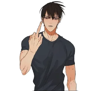 Video sticker 🖕 19 дней однажды @yaoimanhvu :: @fStikBot