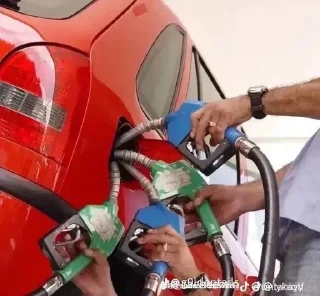 Video sticker 🍆 suck my d :: @fStikBot