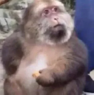 Sticker 🌟 @desviodesepto's SmudgeLord