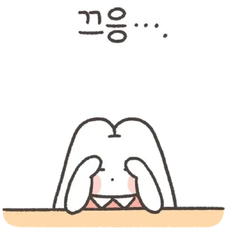 Video sticker 💬 등장! 질풍노도 토랑이 (놀자곰 짱친) By @KakaoEmoticon