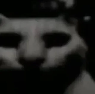 Video sticker 🌚 ممد نیگر