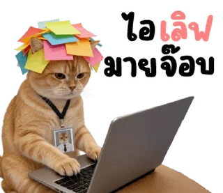 Telegram sticker ⭐ @nammo1997