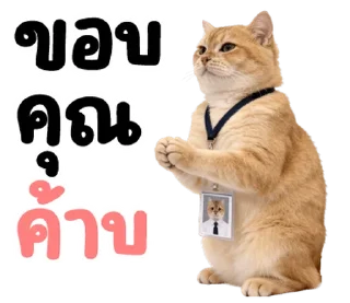 Video sticker ⭐ @nammo1997