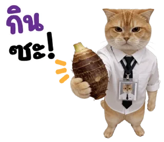 Telegram sticker ⭐ @nammo1997