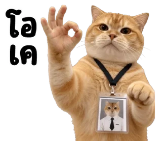 Video sticker ⭐ @nammo1997