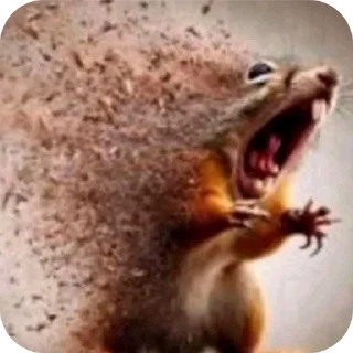 Video sticker 👍 Приëм