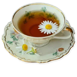 Video sticker 🍵 Больше стиков тут: @stikeryk