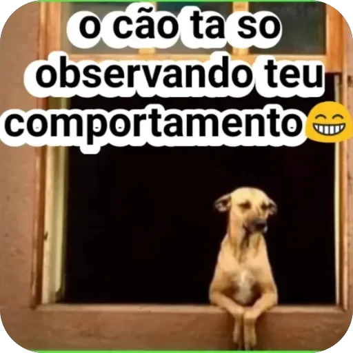 Telegram sticker 🫥 Eliizinha 2 ❤️🌷 — @stckrRobot