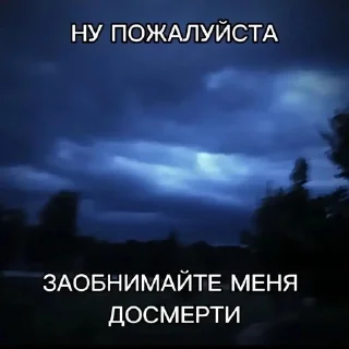 Video sticker 🌟 Соник облизывается :: @V2ggvp :: @fStikBot