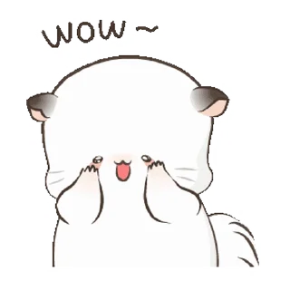 Video sticker 😲 [ @stickers_gifs_store ] ❤️🥂[] — @stckrRobot