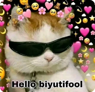 Video sticker 👋 moj msti @love_pfp :: @fStikBot