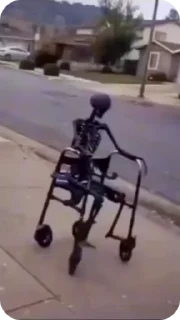 Video sticker 💀 Больше стиков тут: @stikery4