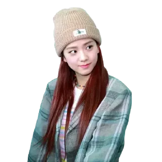 Telegram sticker 🤐 Blackpink 15