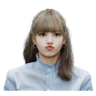 Telegram sticker 💋 Blackpink 15