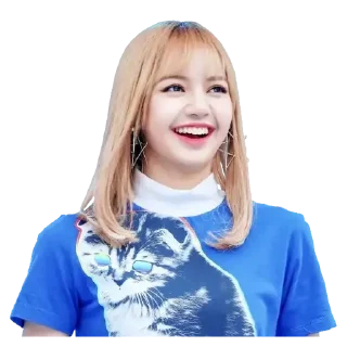 Video sticker 😂 Blackpink 15