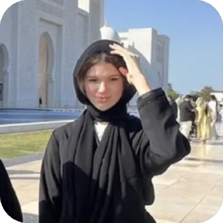 Telegram sticker 🫥 долбоебы свисс