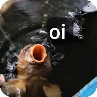 Sticker 🍲 animal xen.