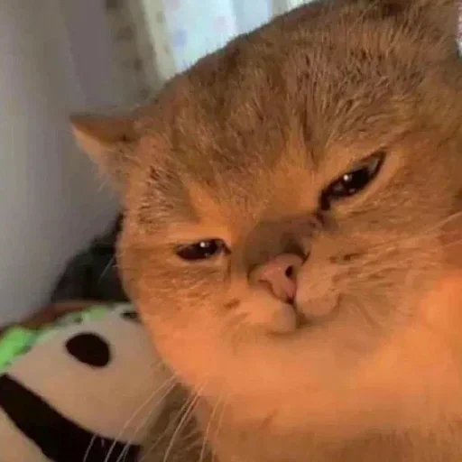 Telegram sticker 🙂 Daybreak♡'s Pack 3.0 @AbbaDabbaChabbaa